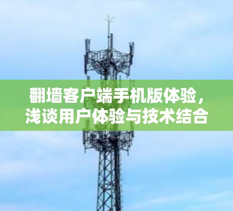 翻墙客户端手机版体验，浅谈用户体验与技术结合