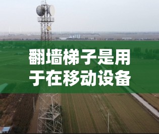 翻墙梯子是用于在移动设备上快速访问互联网流量的技术或工具。它通过调整设备的网络设置，允许移动设备的流量被允许进入特定的互联网服务，从而加速移动设备的连接速度