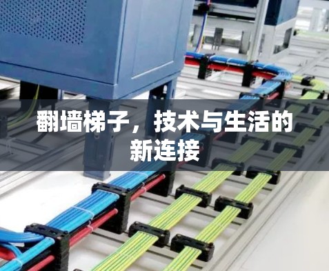 翻墙梯子，技术与生活的新连接