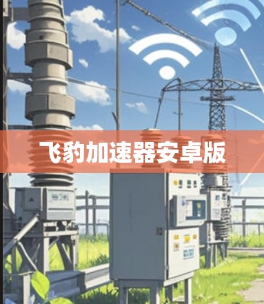 飞豹加速器安卓版