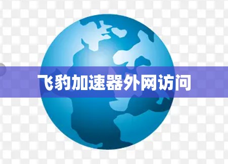 飞豹加速器外网访问