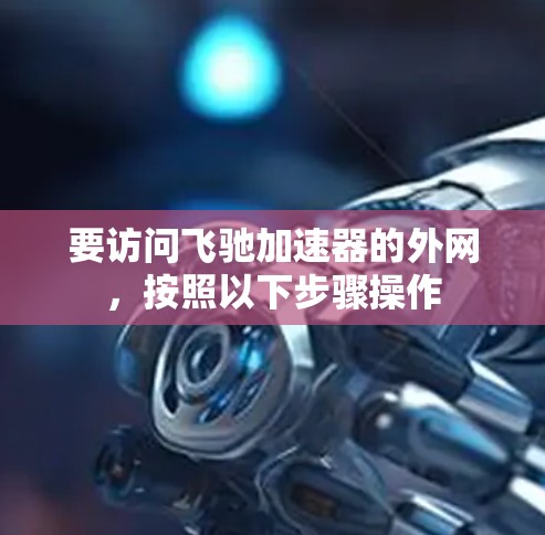 要访问飞驰加速器的外网，按照以下步骤操作