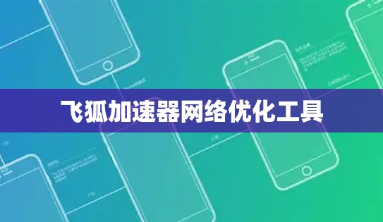 飞狐加速器网络优化工具