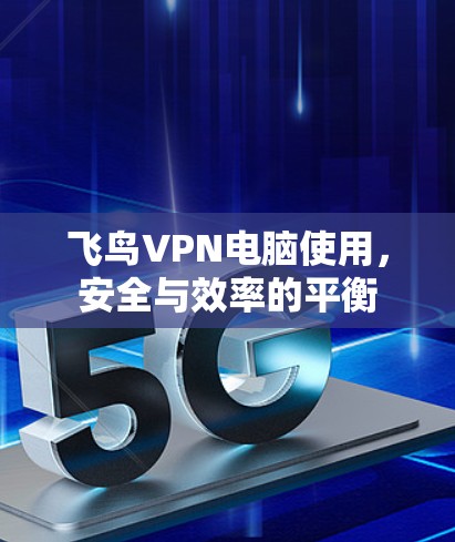 飞鸟VPN电脑使用，安全与效率的平衡