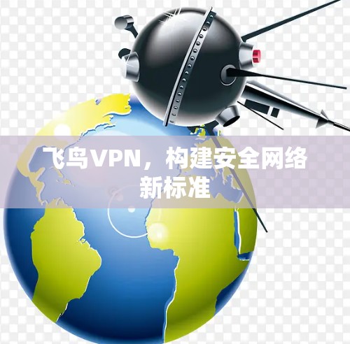 飞鸟VPN，构建安全网络新标准