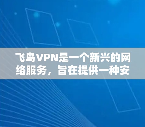 飞鸟VPN是一个新兴的网络服务，旨在提供一种安全、简便的VPN选项。以下是对飞鸟VPN功能的评估