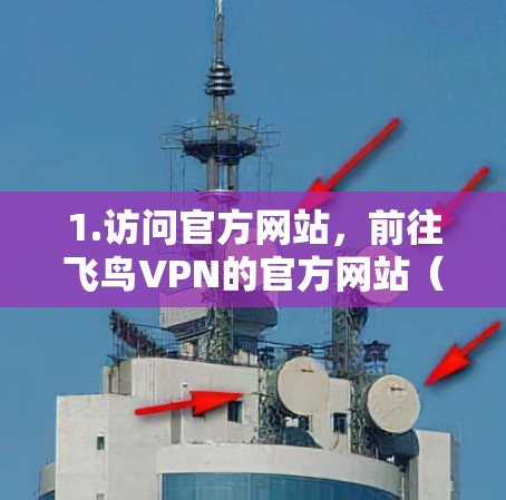 1.访问官方网站，前往飞鸟VPN的官方网站（如飞鸟VPN官网）