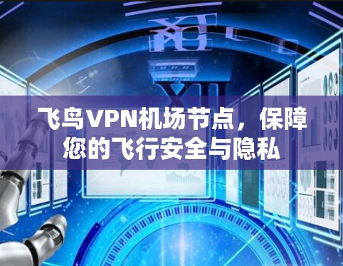 飞鸟VPN机场节点，保障您的飞行安全与隐私