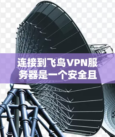连接到飞鸟VPN服务器是一个安全且高效的网络连接方式，适合需要加密传输和远程访问的用户。以下是详细的步骤指南，帮助您顺利完成连接