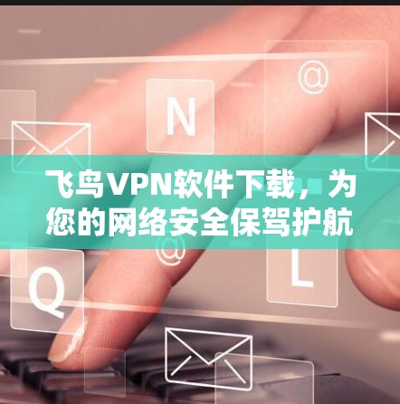飞鸟VPN软件下载，为您的网络安全保驾护航