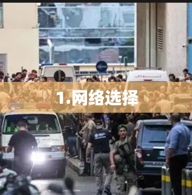 1.网络选择
