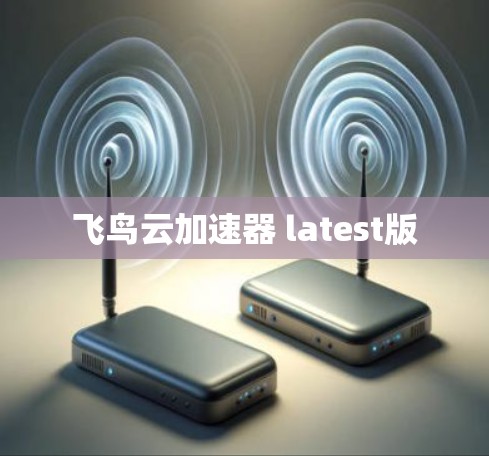 飞鸟云加速器 latest版