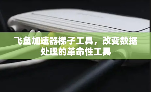 飞鱼加速器梯子工具，改变数据处理的革命性工具