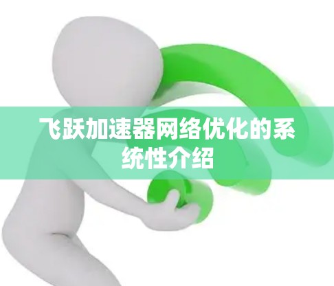 飞跃加速器网络优化的系统性介绍