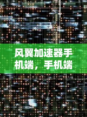 风翼加速器手机端，手机端的高效性能与创新突破