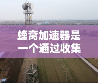 蜂窝加速器是一个通过收集和优化手机内部资源来提升性能的工具，具有广泛的应用场景，如提升内存、CPU和GPU性能。以下是对蜂窝加速器的详细指南
