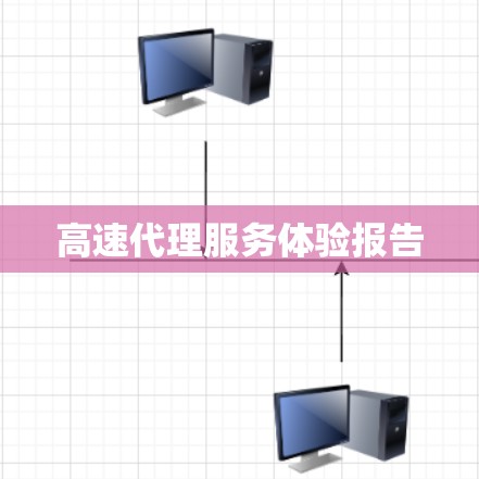 高速代理服务体验报告