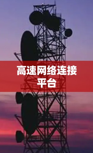 高速网络连接平台 高速网络连接平台