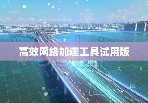 高效网络加速工具试用版