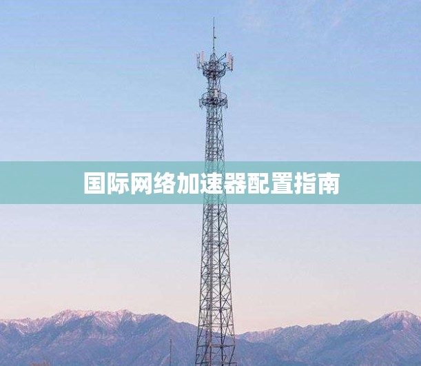 国际网络加速器配置指南