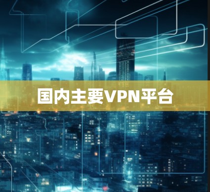 国内主要VPN平台