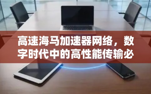 高速海马加速器网络，数字时代中的高性能传输必然