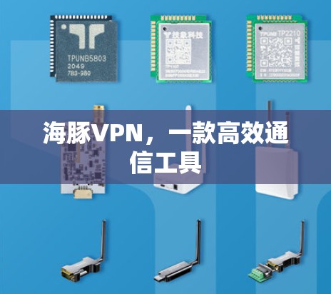 海豚VPN，一款高效通信工具