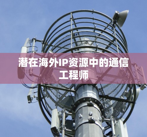 潜在海外IP资源中的通信工程师