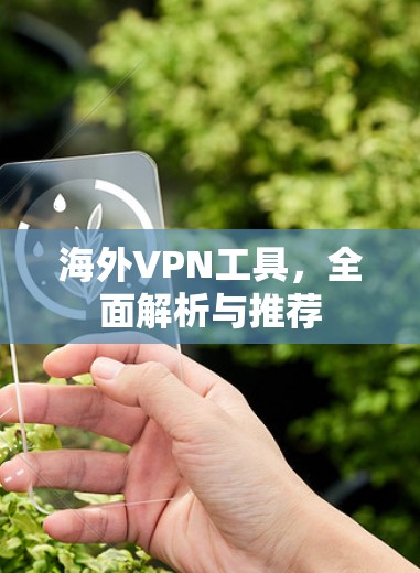 海外VPN工具,全面解析与推荐 海外VPN工具,全面解析与推荐
