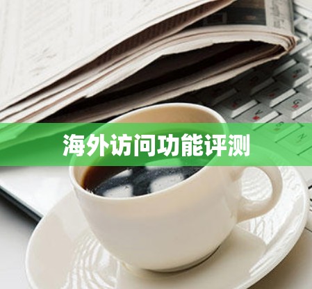 海外访问功能评测