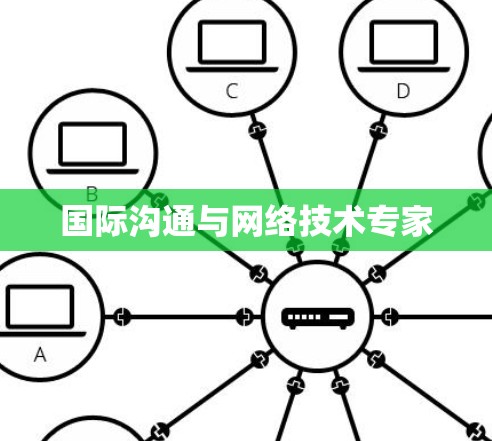 国际沟通与网络技术专家